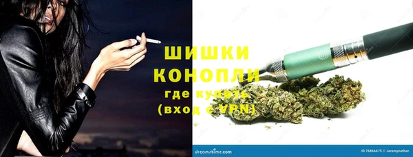 ECSTASY Гусев