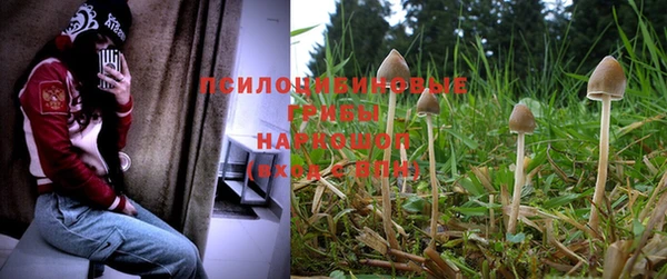 mix Гусиноозёрск
