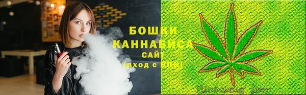 mix Гусиноозёрск