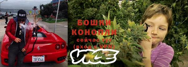ECSTASY Гусев