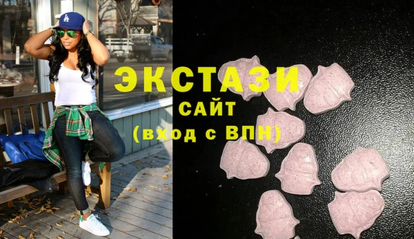 ECSTASY Гусев