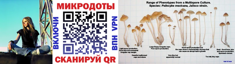 даркнет сайт  Михайлов  Псилоцибиновые грибы мухоморы 